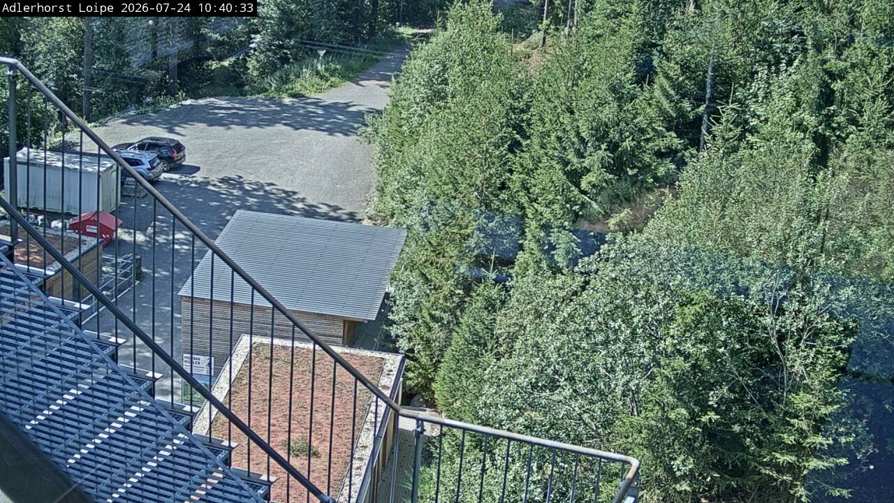 Archiv Foto Webcam Willingen: Adlerhorst Loipe