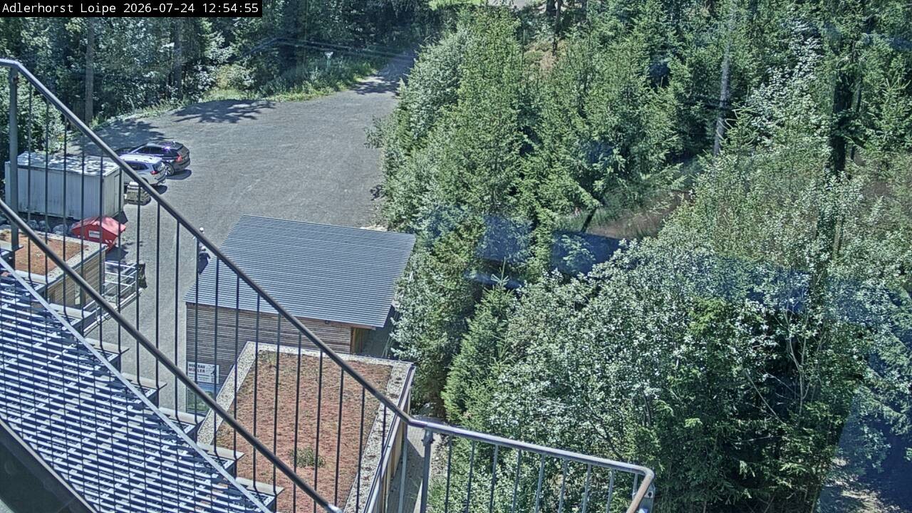Archiv Foto Webcam Willingen: Adlerhorst Loipe