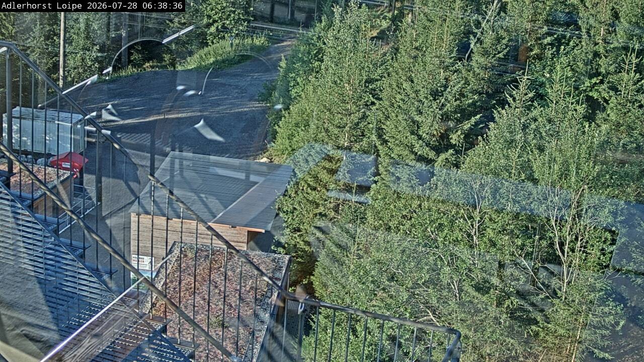 Archiv Foto Webcam Willingen: Adlerhorst Loipe