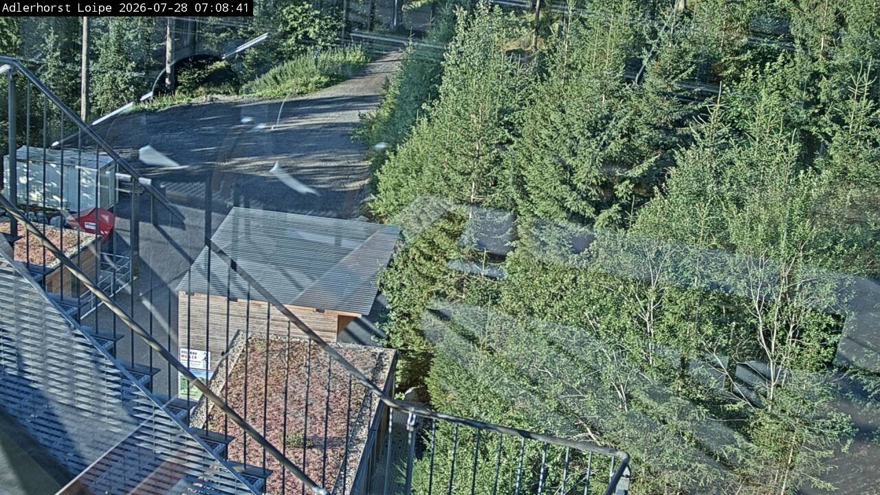 Archiv Foto Webcam Willingen: Adlerhorst Loipe