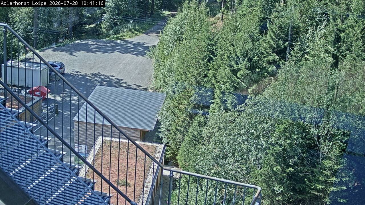 Archiv Foto Webcam Willingen: Adlerhorst Loipe