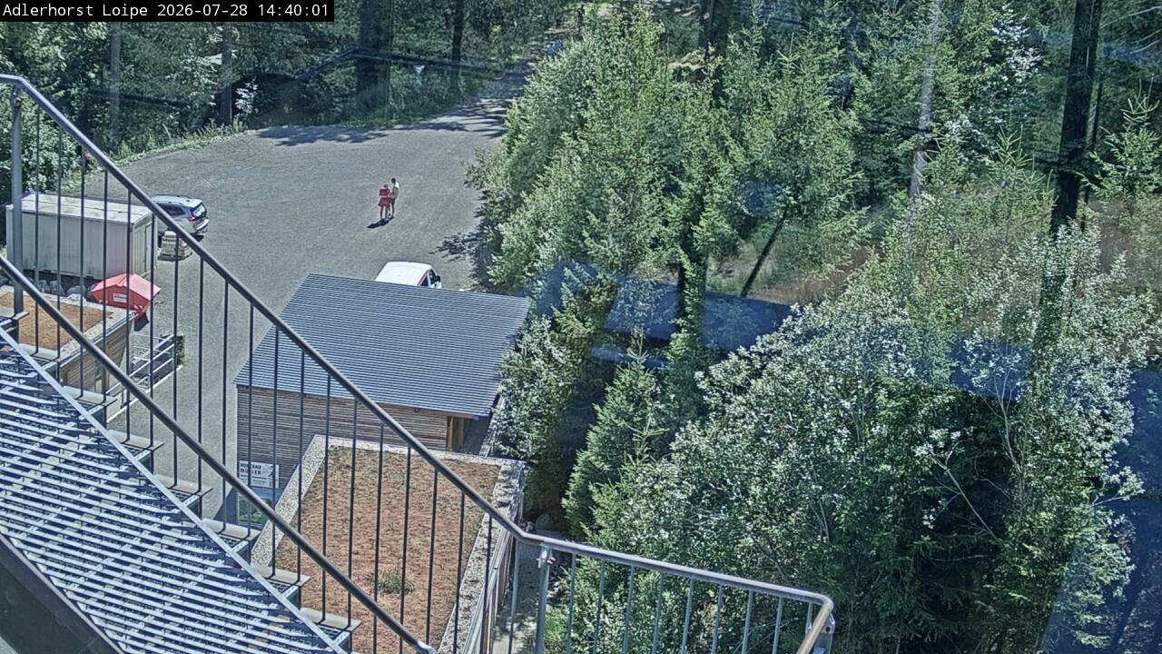 Archiv Foto Webcam Willingen: Adlerhorst Loipe
