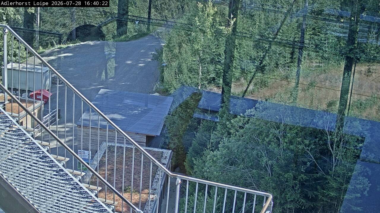 Archiv Foto Webcam Willingen: Adlerhorst Loipe