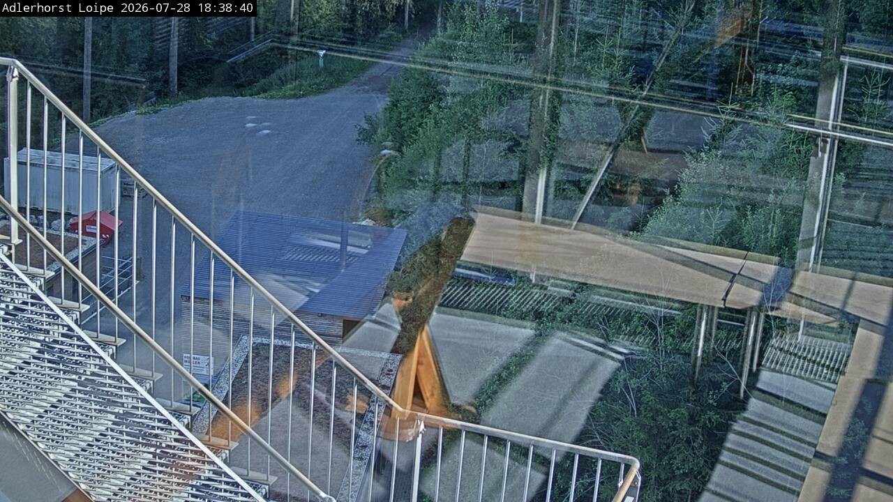 Archiv Foto Webcam Willingen: Adlerhorst Loipe