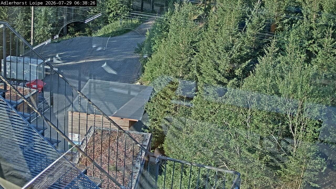 Archiv Foto Webcam Willingen: Adlerhorst Loipe