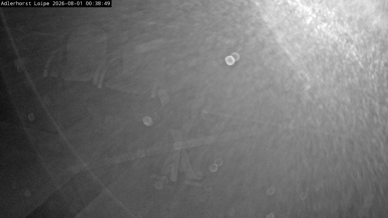 Archived image Webcam Willingen: Trail at Ski Jumping Area