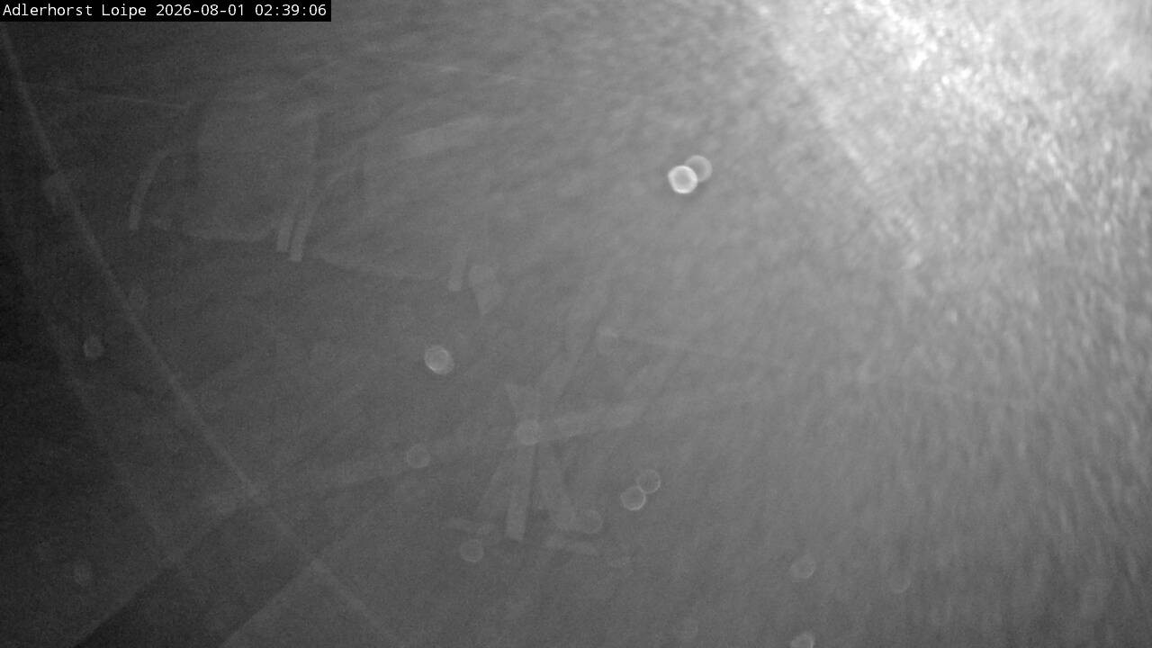 Archived image Webcam Willingen: Trail at Ski Jumping Area