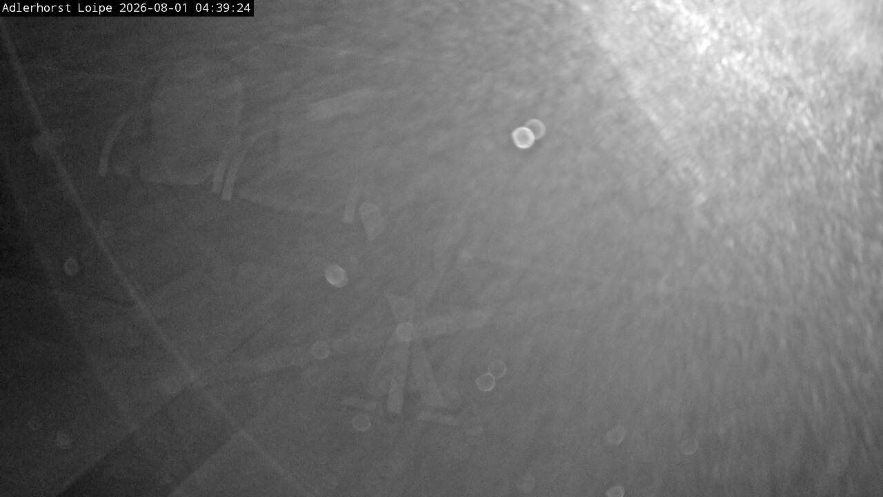 Archived image Webcam Willingen: Trail at Ski Jumping Area