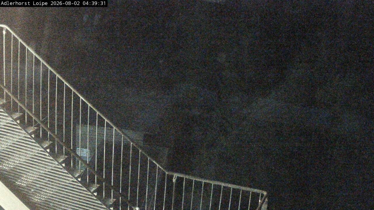 Archiv Foto Webcam Willingen: Adlerhorst Loipe