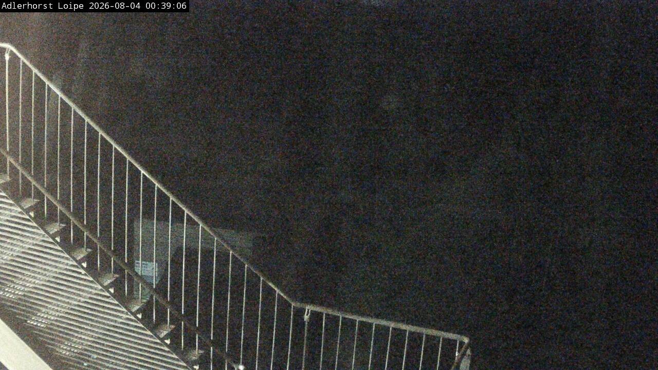 Archiv Foto Webcam Willingen: Adlerhorst Loipe