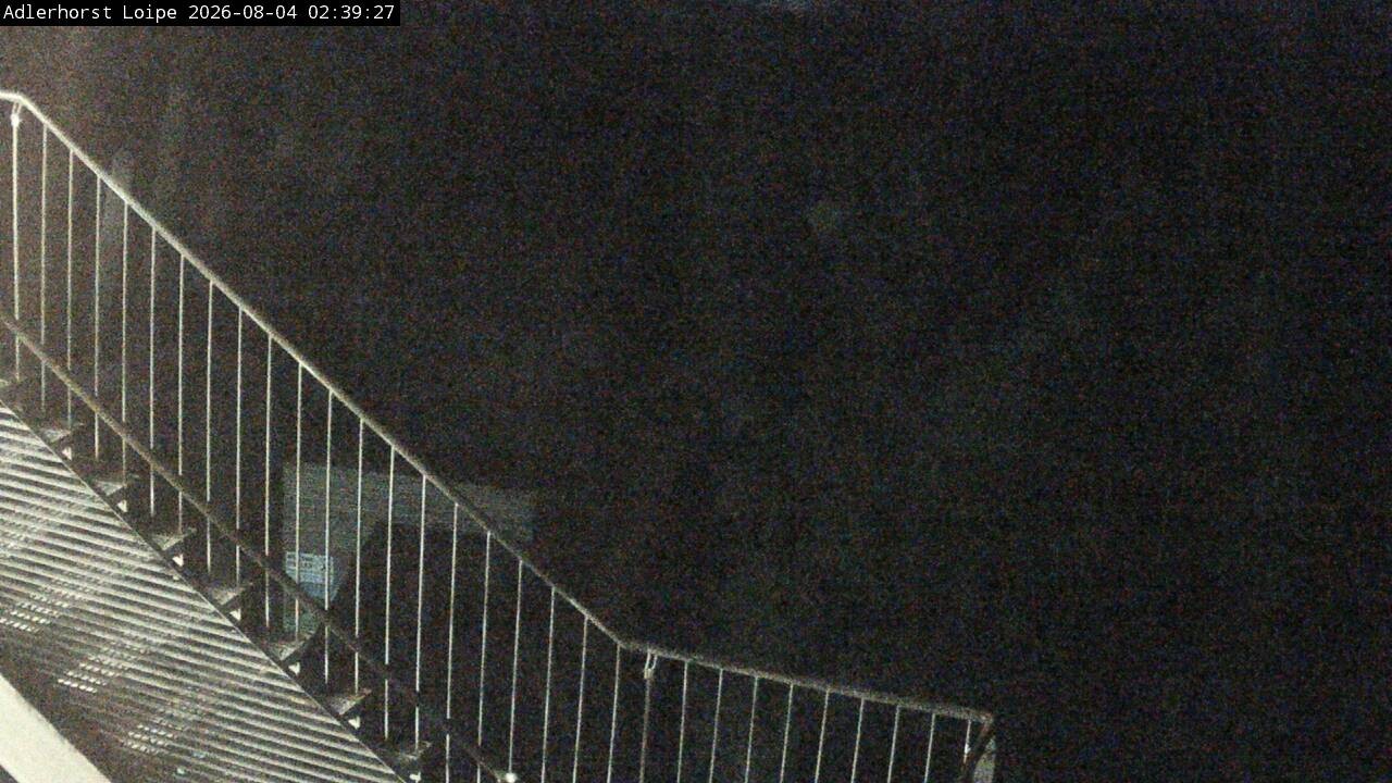 Archiv Foto Webcam Willingen: Adlerhorst Loipe