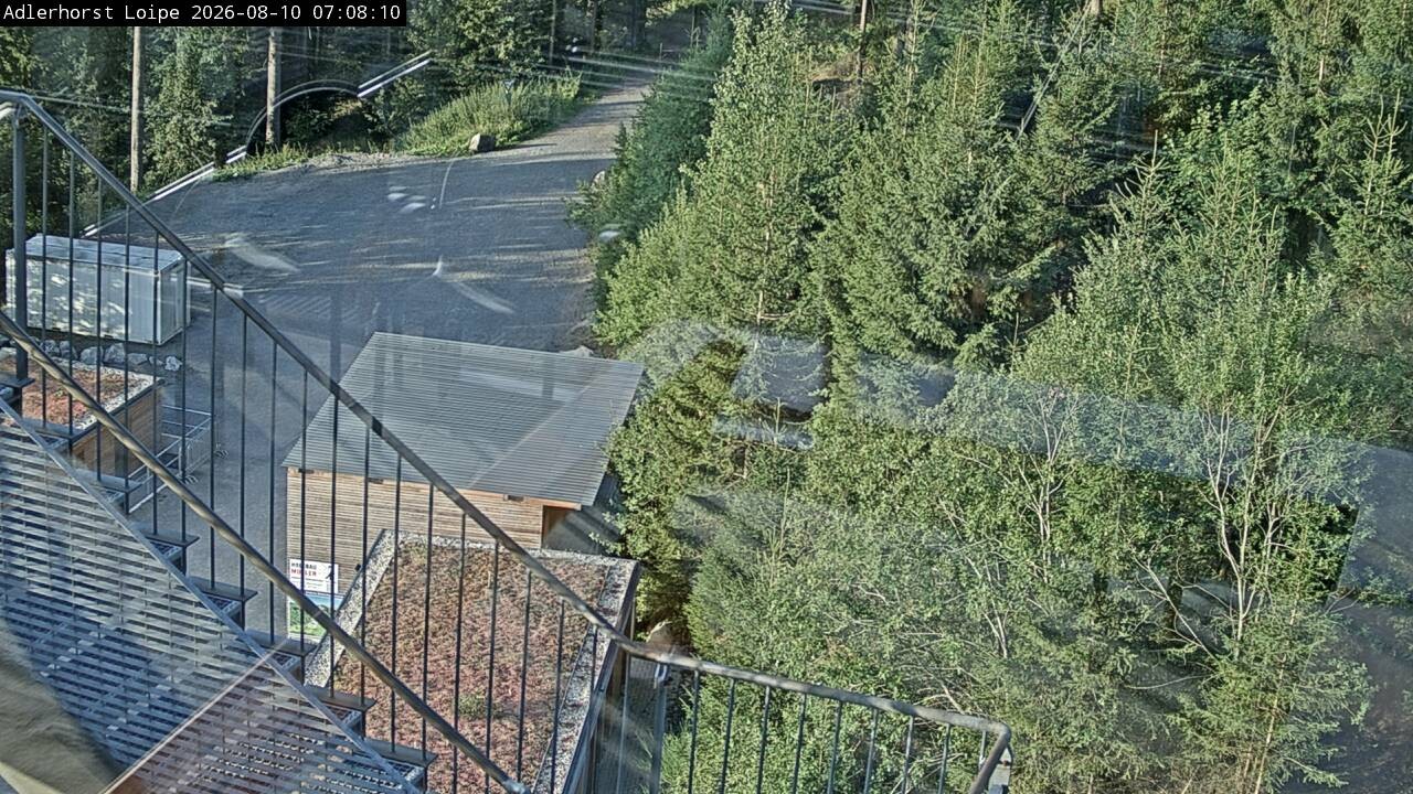 Archiv Foto Webcam Willingen: Adlerhorst Loipe
