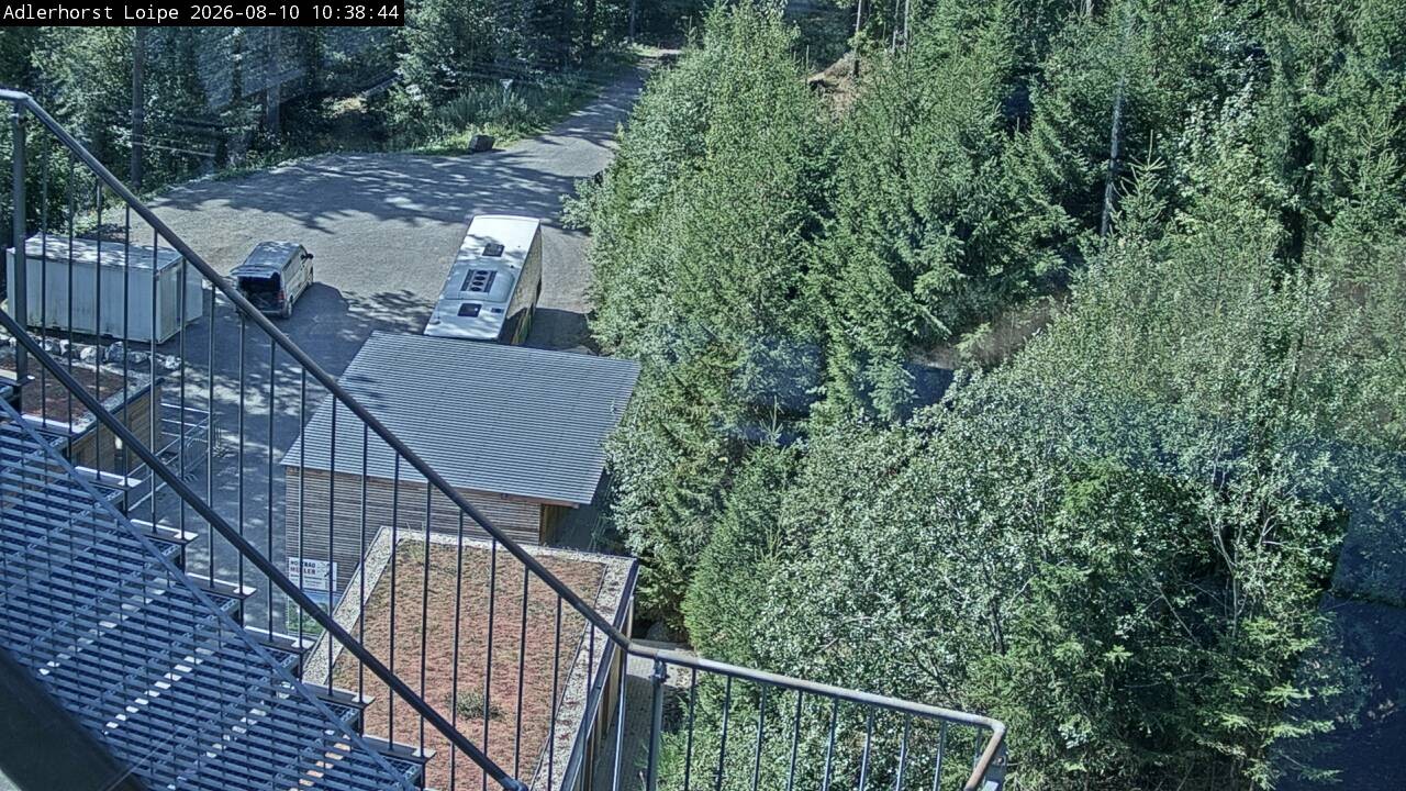 Archiv Foto Webcam Willingen: Adlerhorst Loipe