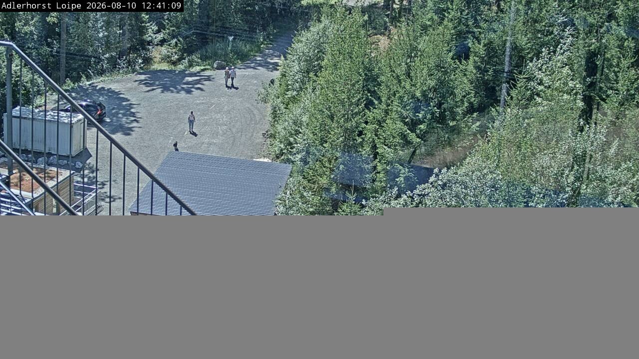 Archiv Foto Webcam Willingen: Adlerhorst Loipe