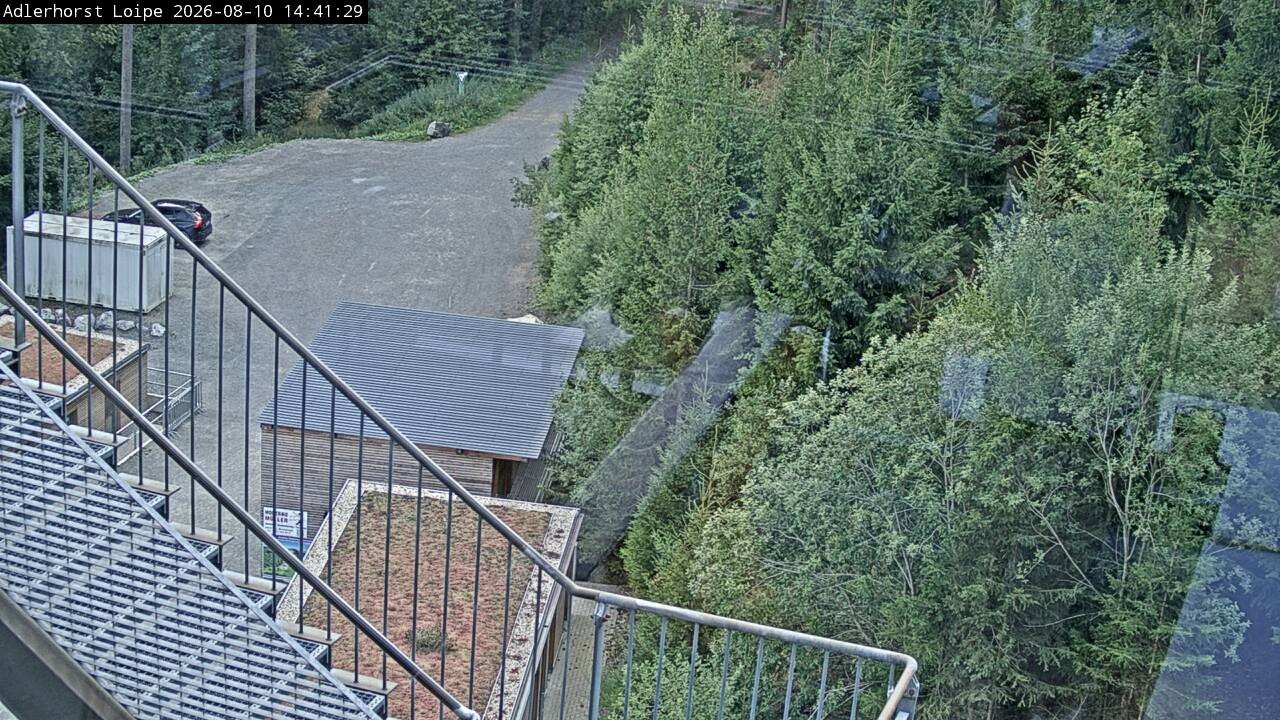 Archiv Foto Webcam Willingen: Adlerhorst Loipe