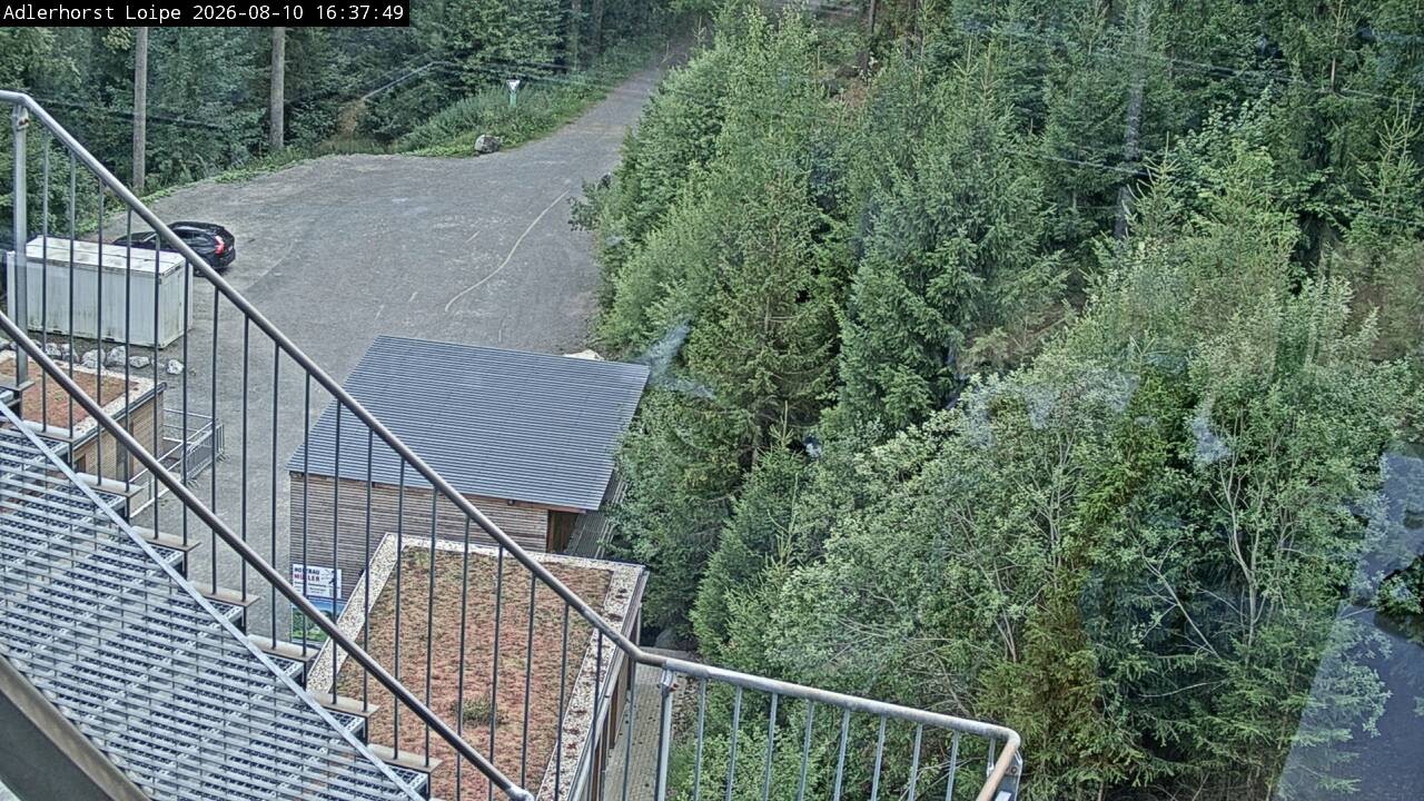 Archiv Foto Webcam Willingen: Adlerhorst Loipe