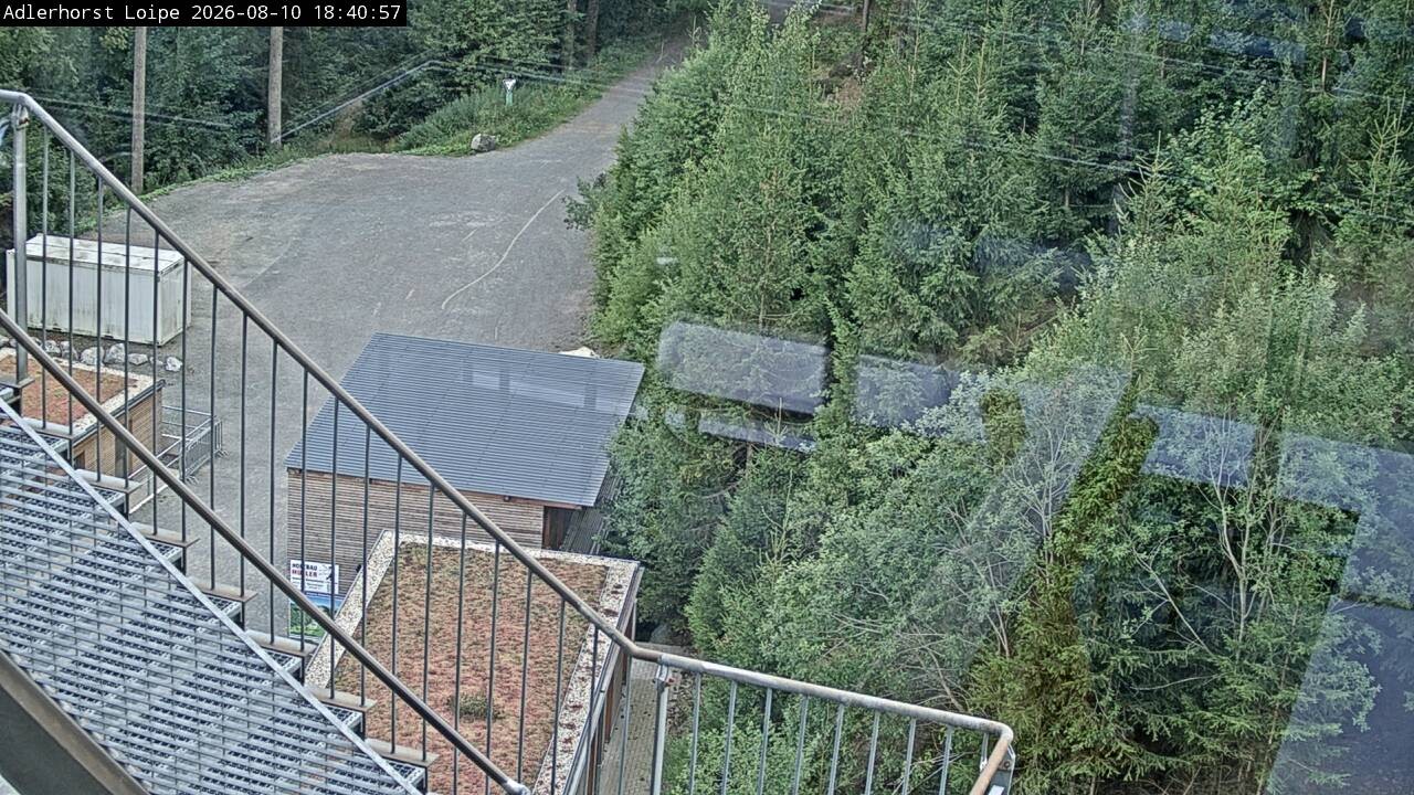 Archiv Foto Webcam Willingen: Adlerhorst Loipe