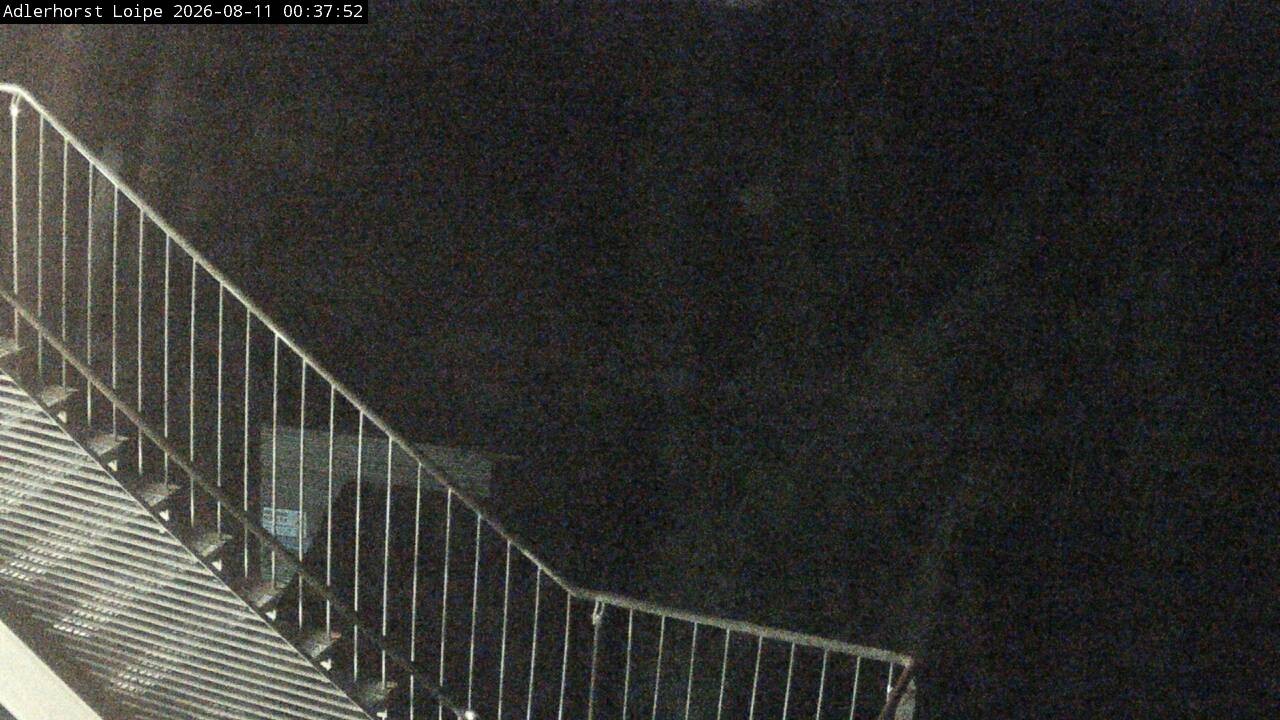 Archiv Foto Webcam Willingen: Adlerhorst Loipe