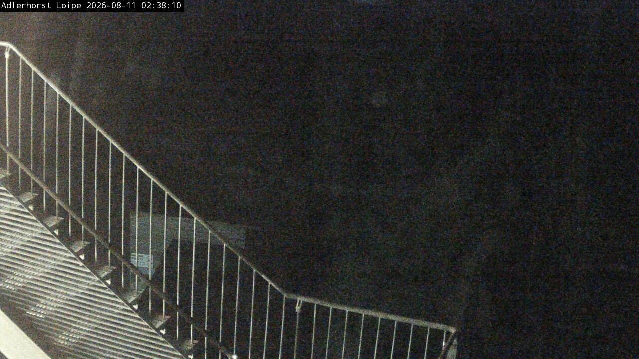 Archiv Foto Webcam Willingen: Adlerhorst Loipe