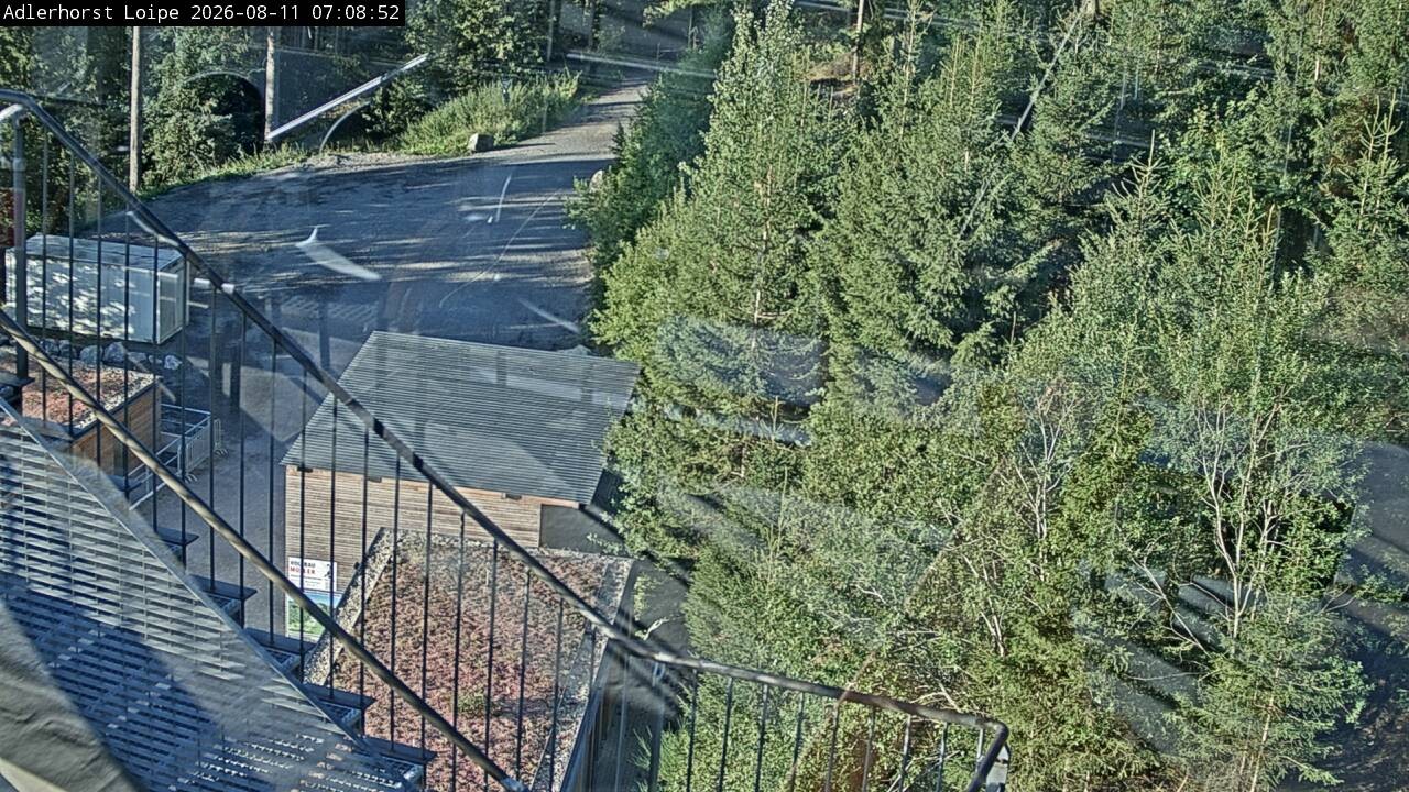 Archiv Foto Webcam Willingen: Adlerhorst Loipe