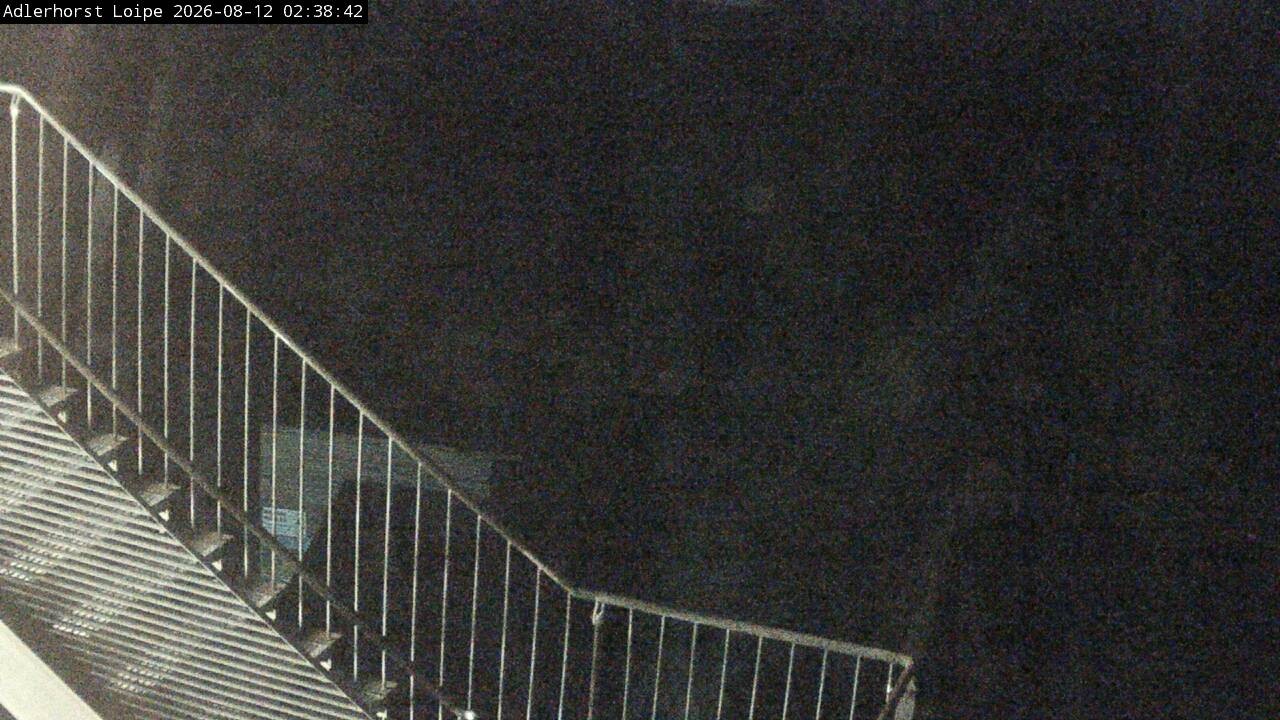 Archiv Foto Webcam Willingen: Adlerhorst Loipe