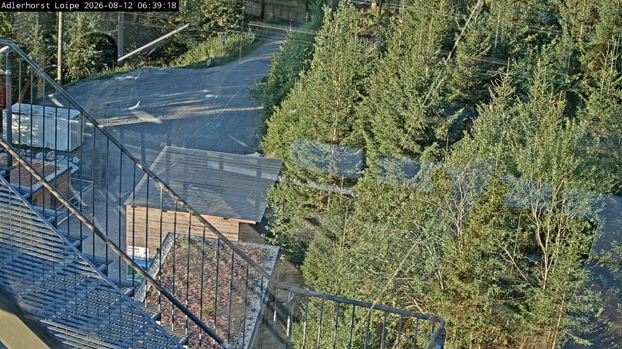 Archiv Foto Webcam Willingen: Adlerhorst Loipe