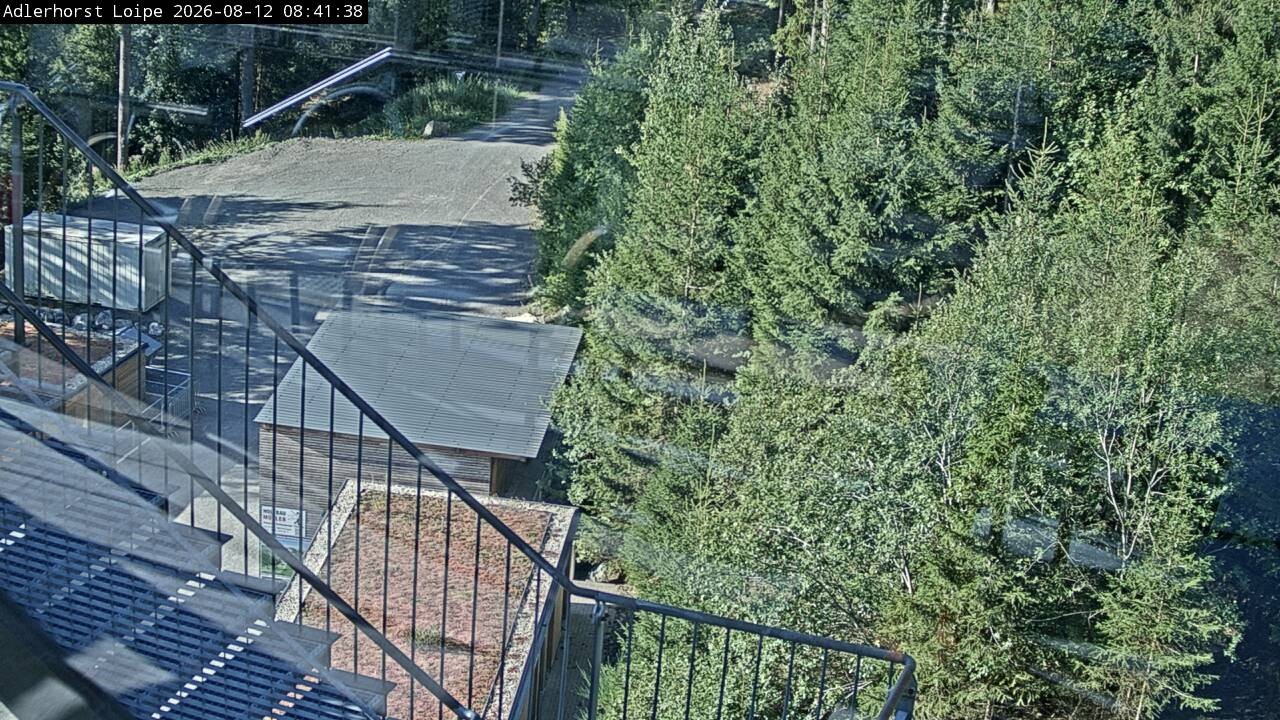 Archiv Foto Webcam Willingen: Adlerhorst Loipe