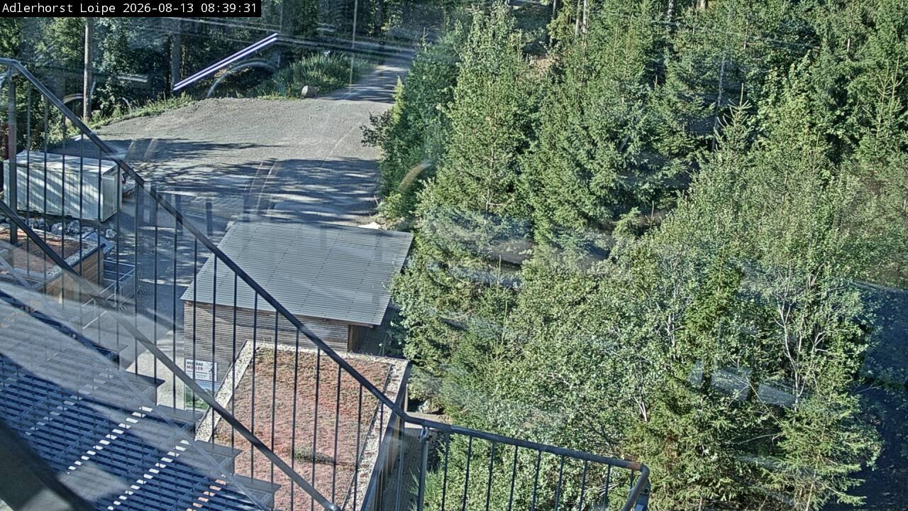 Archiv Foto Webcam Willingen: Adlerhorst Loipe