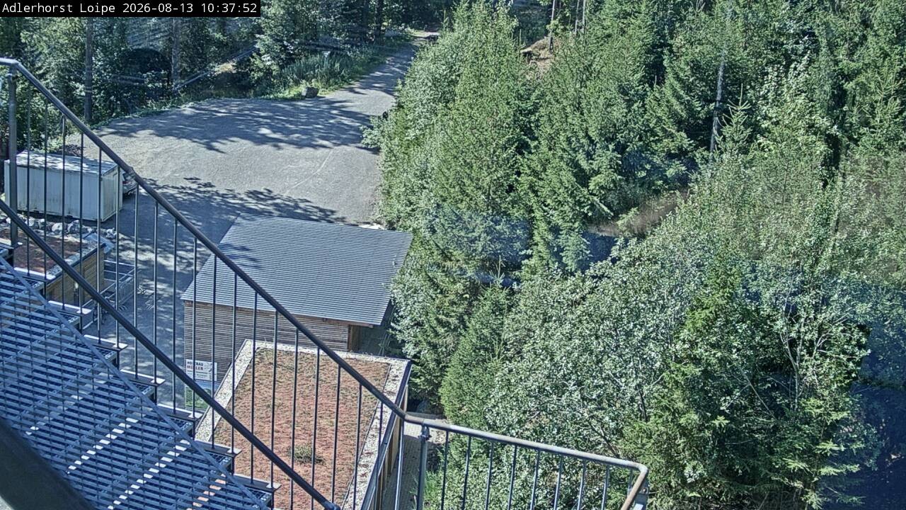 Archiv Foto Webcam Willingen: Adlerhorst Loipe