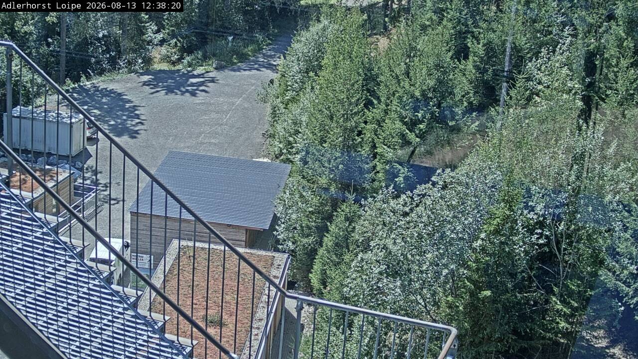 Archiv Foto Webcam Willingen: Adlerhorst Loipe