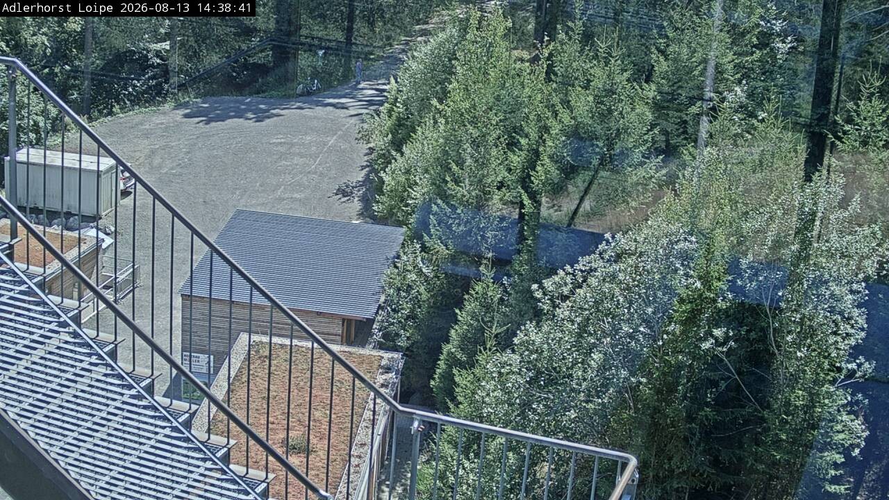 Archiv Foto Webcam Willingen: Adlerhorst Loipe
