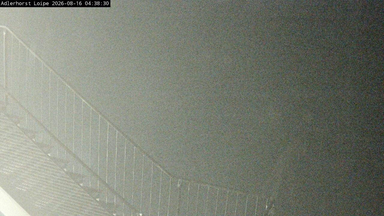 Archiv Foto Webcam Willingen: Adlerhorst Loipe