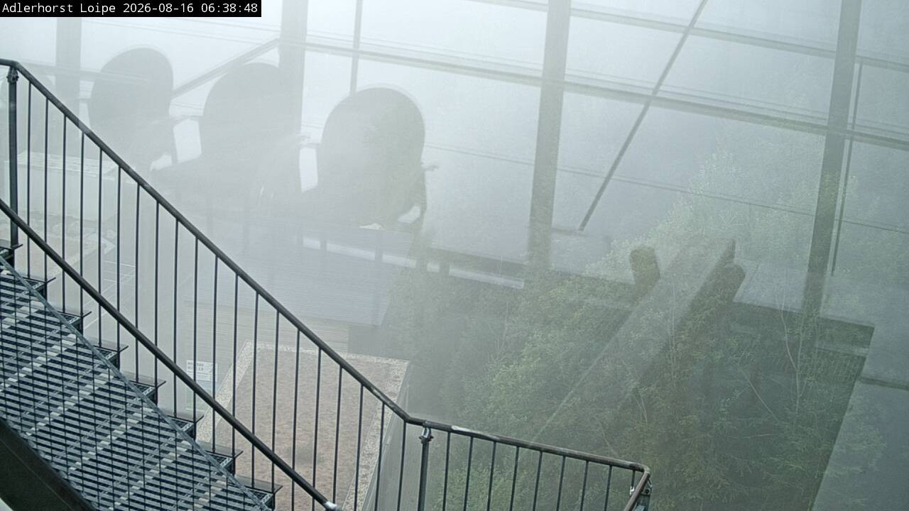 Archiv Foto Webcam Willingen: Adlerhorst Loipe