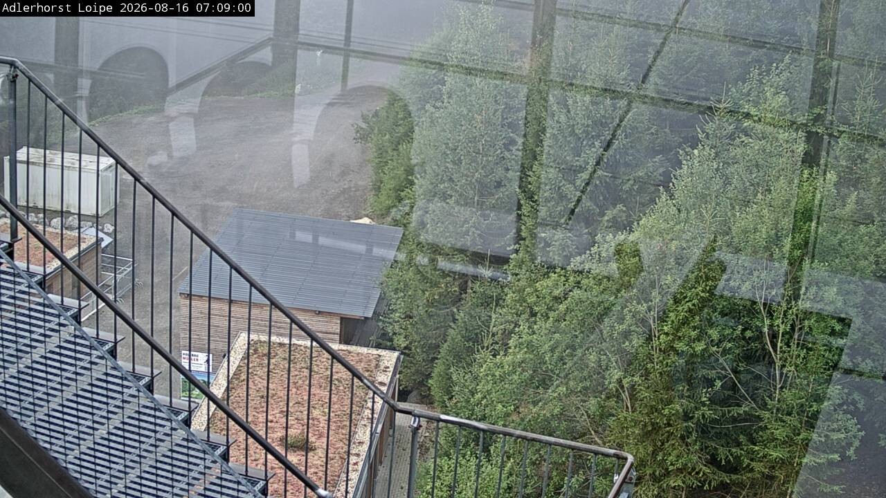 Archiv Foto Webcam Willingen: Adlerhorst Loipe