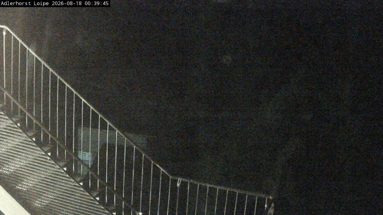 Archiv Foto Webcam Willingen: Adlerhorst Loipe