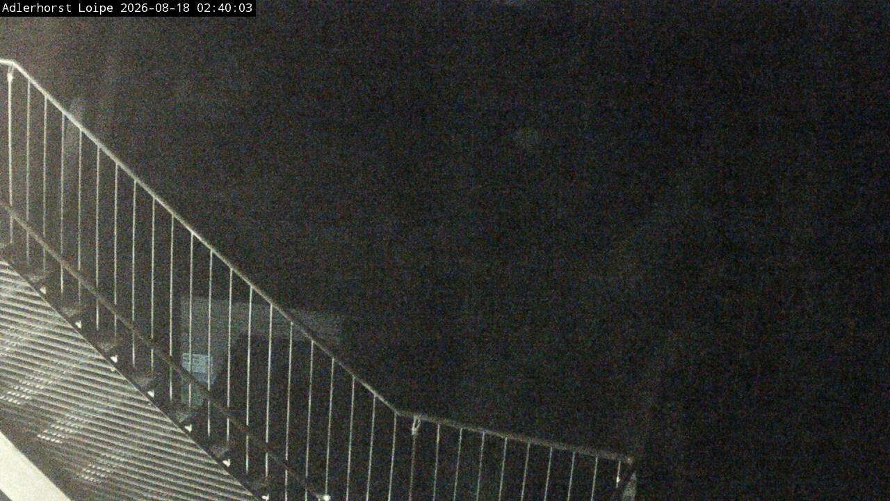 Archiv Foto Webcam Willingen: Adlerhorst Loipe