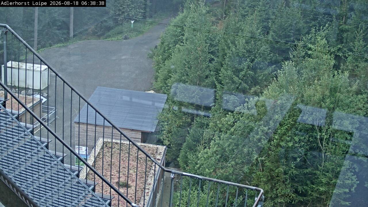 Archiv Foto Webcam Willingen: Adlerhorst Loipe