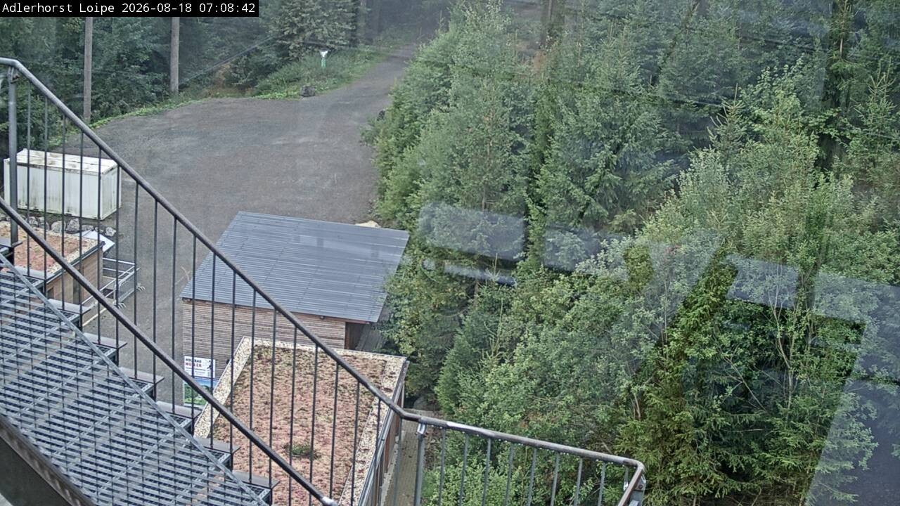 Archiv Foto Webcam Willingen: Adlerhorst Loipe
