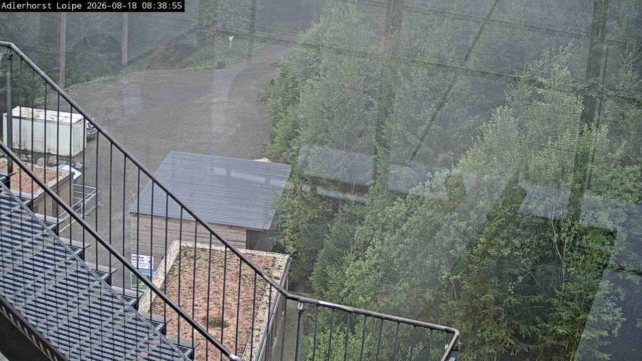 Archiv Foto Webcam Willingen: Adlerhorst Loipe