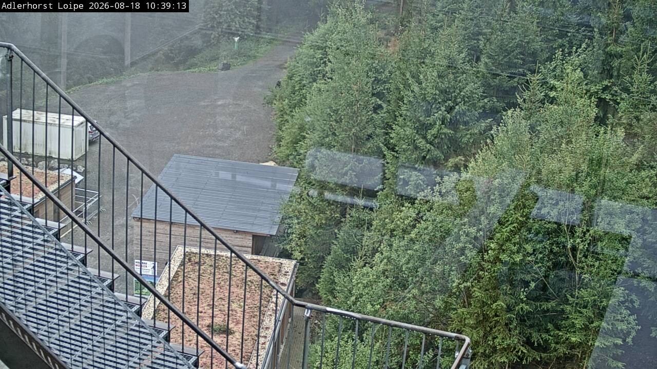 Archiv Foto Webcam Willingen: Adlerhorst Loipe