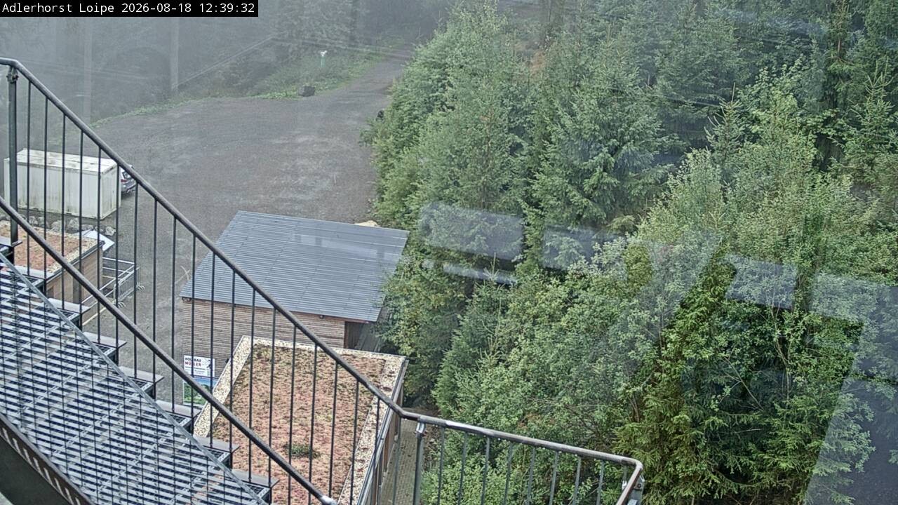 Archiv Foto Webcam Willingen: Adlerhorst Loipe