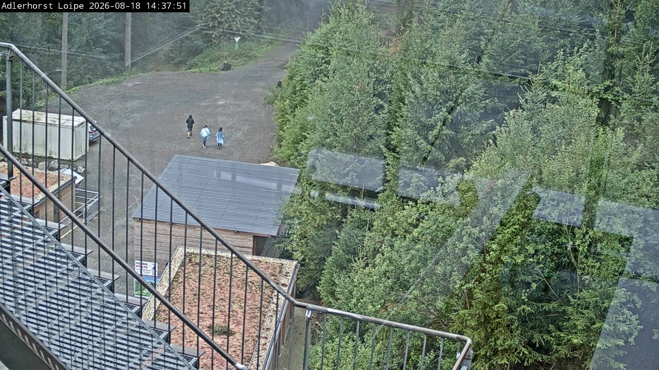 Archiv Foto Webcam Willingen: Adlerhorst Loipe