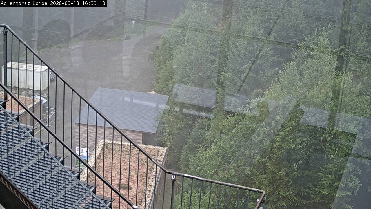 Archiv Foto Webcam Willingen: Adlerhorst Loipe