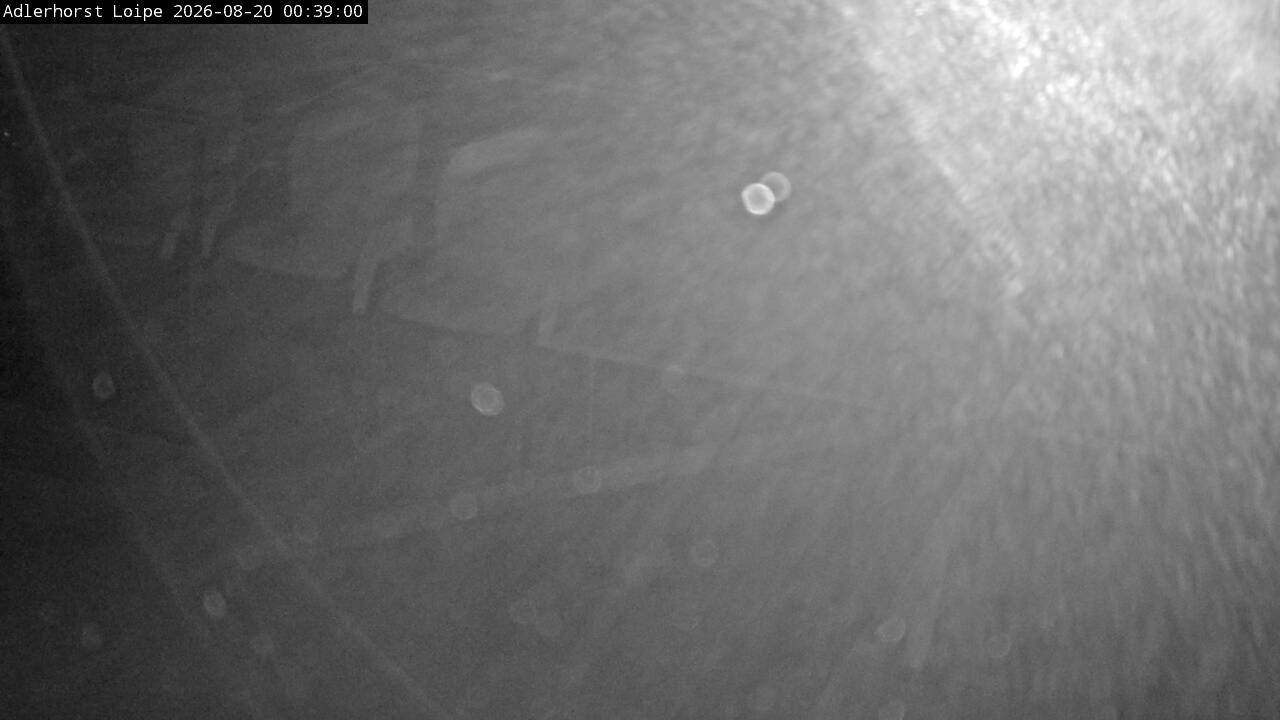 Archived image Webcam Willingen: Trail at Ski Jumping Area