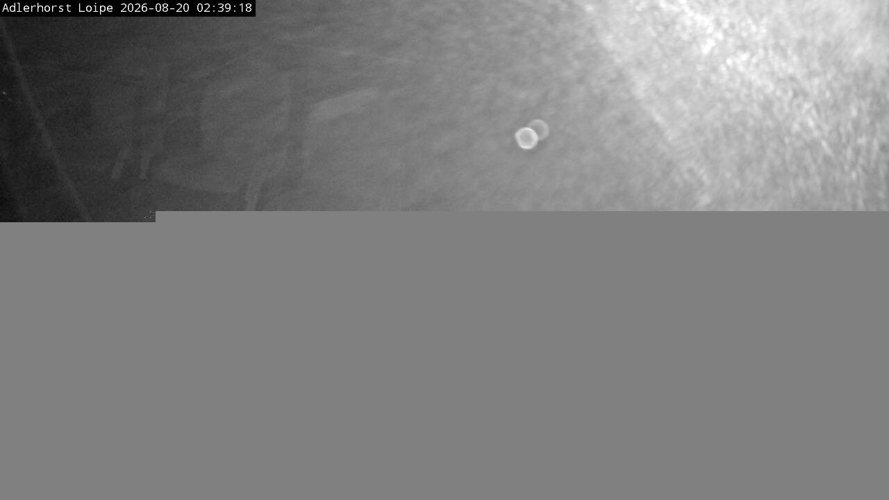 Archived image Webcam Willingen: Trail at Ski Jumping Area