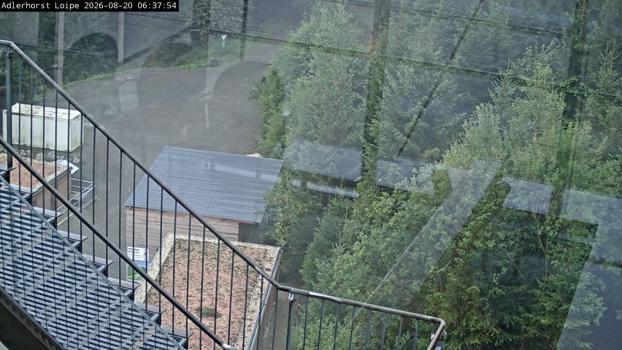 Archiv Foto Webcam Willingen: Adlerhorst Loipe