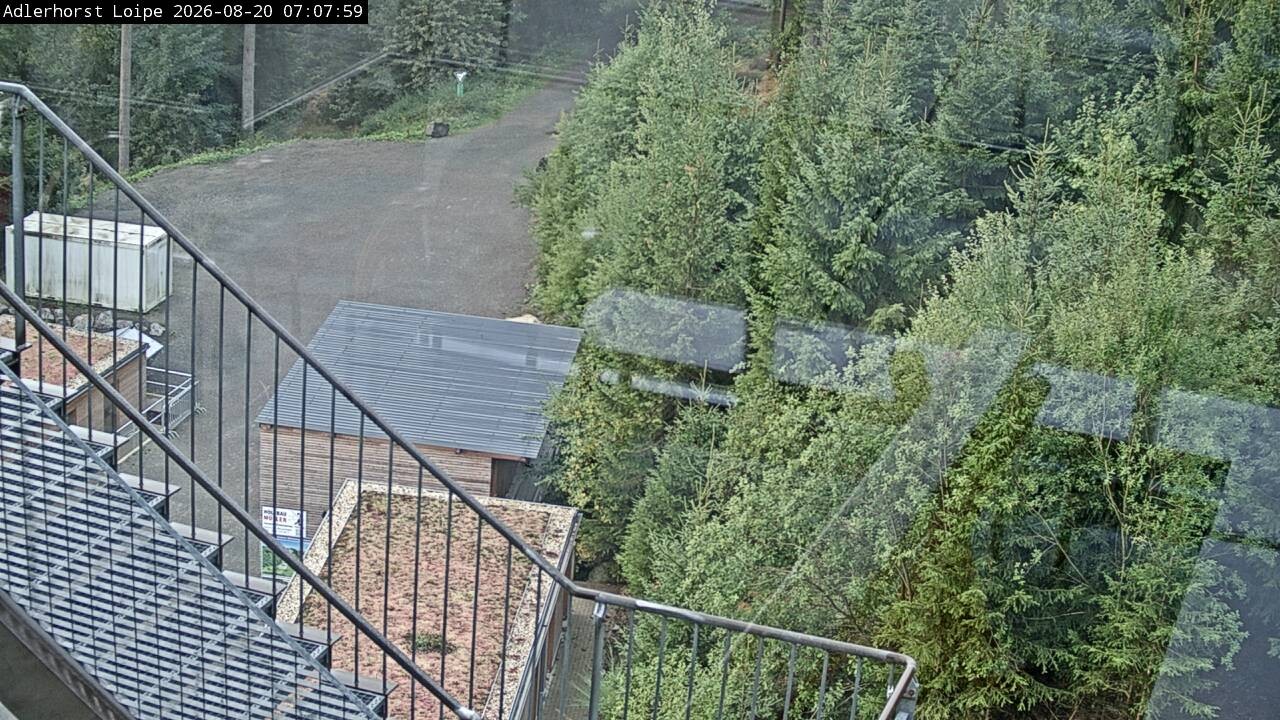 Archiv Foto Webcam Willingen: Adlerhorst Loipe