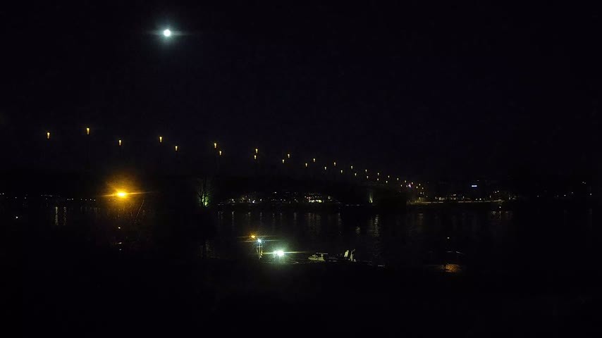 Archiv Foto Webcam Kennedybrücke in Bonn