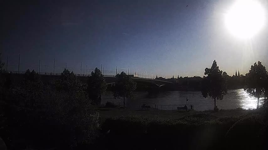 Archiv Foto Webcam Kennedybrücke in Bonn