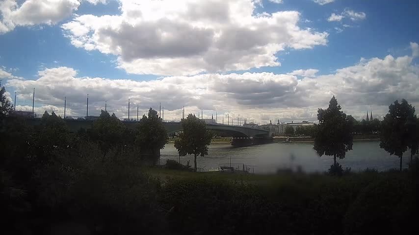 Archiv Foto Webcam Kennedybrücke in Bonn